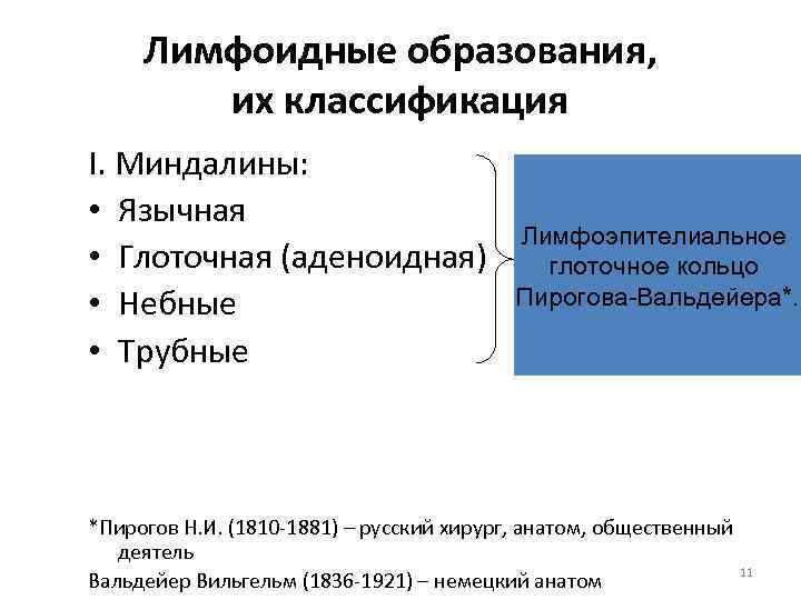 Лимфоидные образования, их классификация I. Миндалины: • Язычная • Глоточная (аденоидная) • Небные •