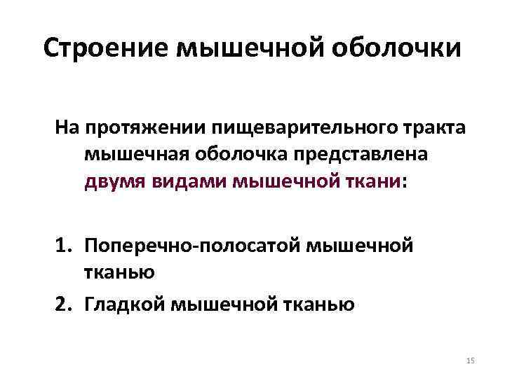 Строение мышечной оболочки На протяжении пищеварительного тракта мышечная оболочка представлена двумя видами мышечной ткани: