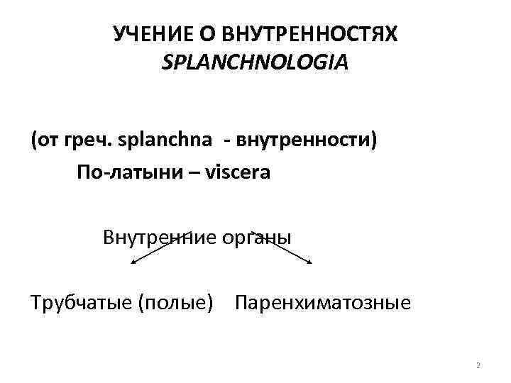 УЧЕНИЕ О ВНУТРЕННОСТЯХ SPLANCHNOLOGIA (от греч. splanchna - внутренности) По-латыни – viscera Внутренние органы