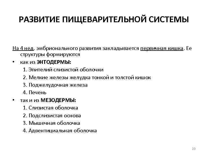 РАЗВИТИЕ ПИЩЕВАРИТЕЛЬНОЙ СИСТЕМЫ На 4 нед. эмбрионального развития закладывается первичная кишка. Ее структуры формируются