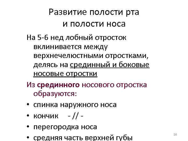 Развитие полости рта и полости носа На 5 -6 нед лобный отросток вклинивается между