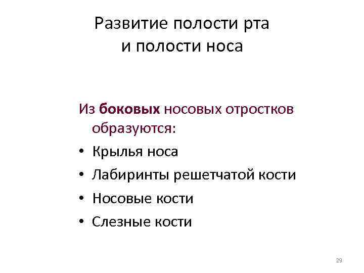 Развитие полости рта и полости носа Из боковых носовых отростков образуются: • Крылья носа