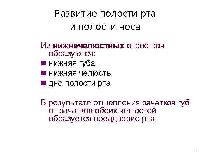 Развитие полости рта и полости носа Из нижнечелюстных отростков образуются: n нижняя губа n