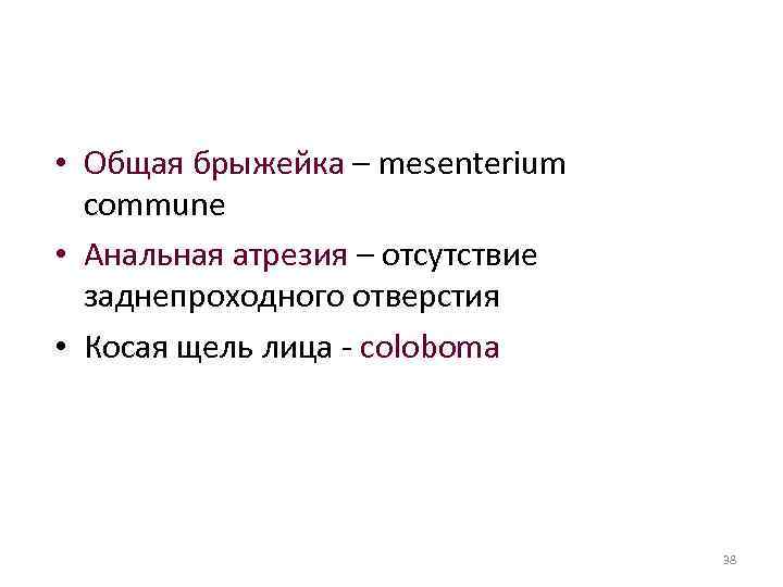  • Общая брыжейка – mesenterium commune • Анальная атрезия – отсутствие заднепроходного отверстия