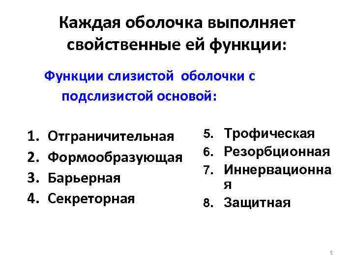 Каждая оболочка выполняет свойственные ей функции: Функции слизистой оболочки с подслизистой основой: 1. 2.