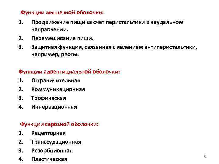 Функции мышечной оболочки: 1. 2. 3. Продвижение пищи за счет перистальтики в каудальном направлении.