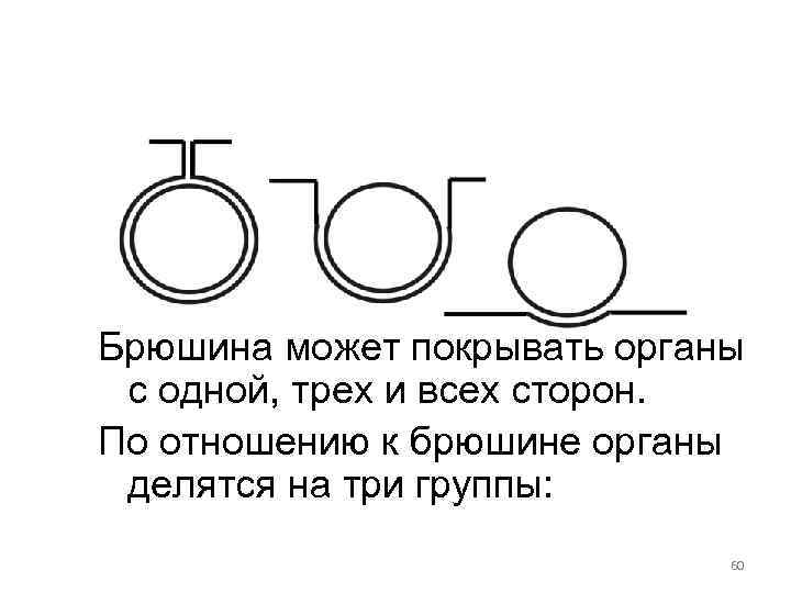 Брюшина может покрывать органы с одной, трех и всех сторон. По отношению к брюшине