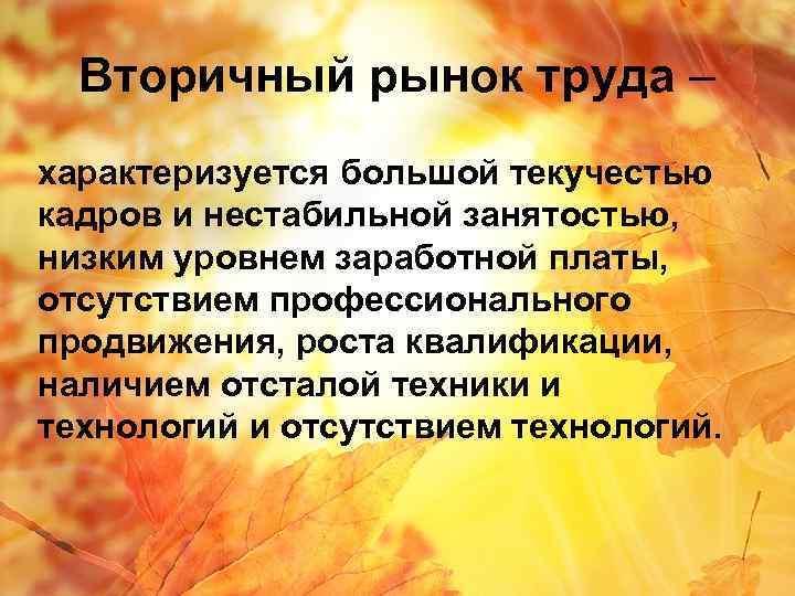 Вторичный рынок труда – характеризуется большой текучестью кадров и нестабильной занятостью, низким уровнем заработной