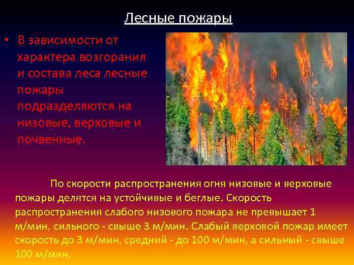 Верховые пожары распространяются. Низовые и верховые пожары. Лесные пожары делятся на. Низовые пожары подразделяются на. Лесные пожары в зависимости от уровня горения леса могут быть.