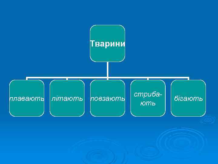 Тварини плавають літають повзають стрибають бігають 