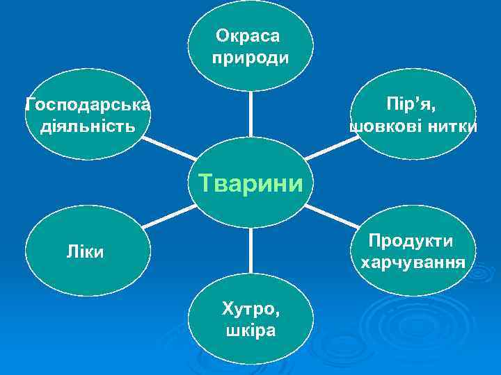 Окраса природи Пір’я, шовкові нитки Господарська діяльність Тварини Продукти харчування Ліки Хутро, шкіра 