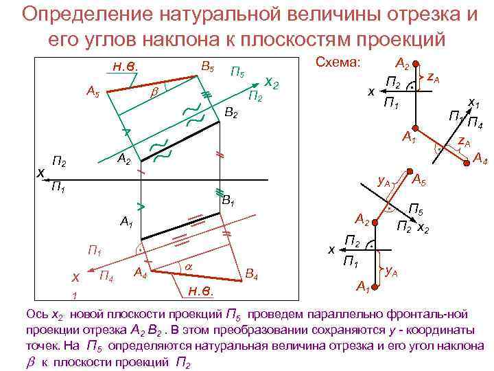 Определение натуральной величины отрезка и его углов наклона к плоскостям проекций н. в. В