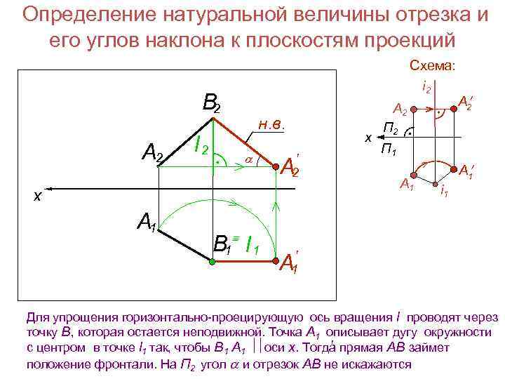 Проекция натуральной величины