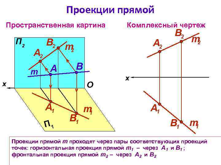 Проекции прямой Пространственная картина П 2 А 2 m Комплексный чертеж В 2 m