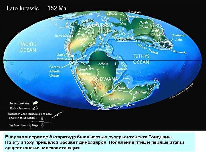 В юрском периоде Антарктида была частью суперконтинента Гондваны. На эту эпоху пришелся расцвет динозавров.