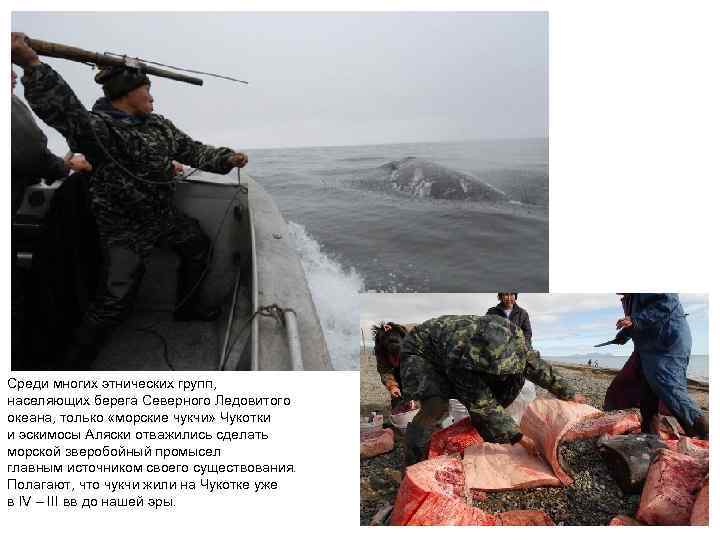 Среди многих этнических групп, населяющих берега Северного Ледовитого океана, только «морские чукчи» Чукотки и