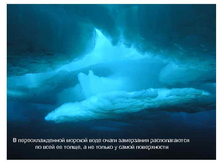 В переохлажденной морской воде очаги замерзания располагаются по всей ее толще, а не только