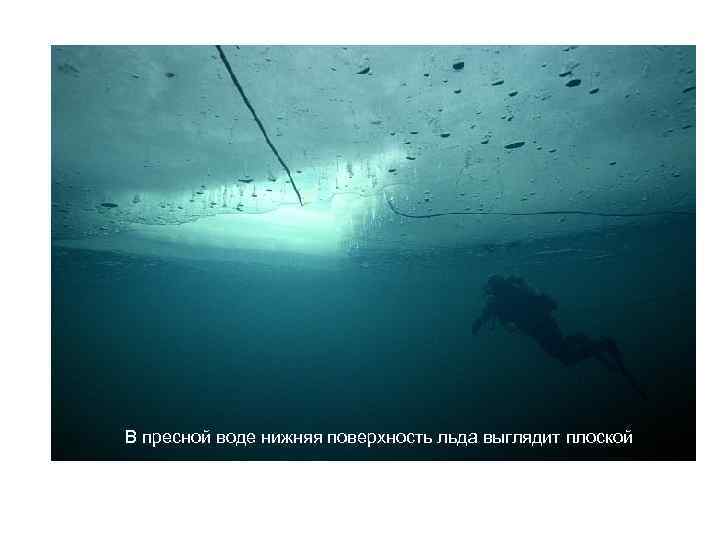 В пресной воде нижняя поверхность льда выглядит плоской 