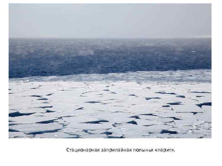 Стационарная заприпайная полынья «парит» . 