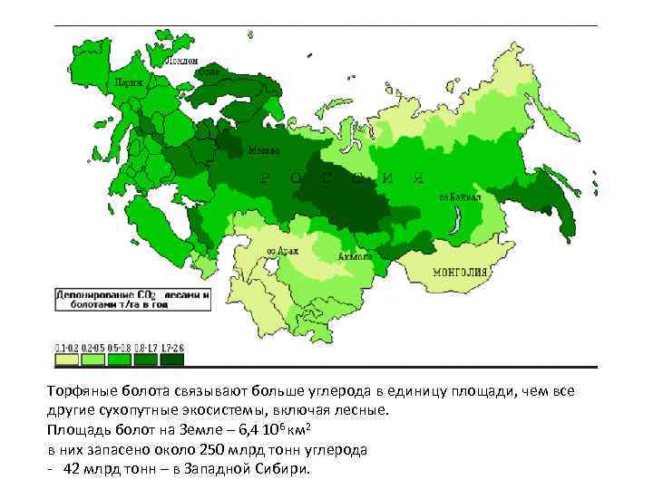 Карта торфяных болот