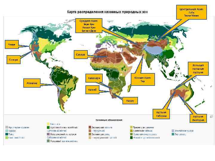 Центральная Азия: Гоби Такла-Макан Средняя Азия: Кара-Кум Кызыл-Кум Бетпак-Дала Чиауа Сахара Сонора Большая песчаная