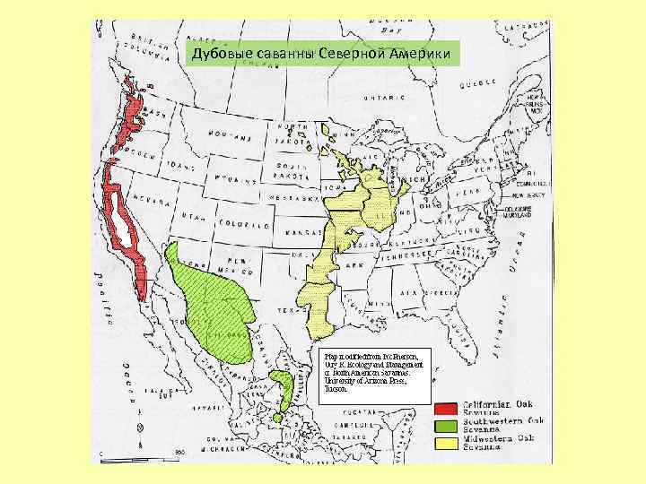 Дубовые саванны Северной Америки 