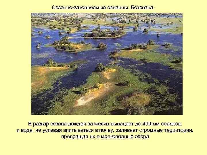 Сезонно-затопляемые саванны. Ботсвана. В разгар сезона дождей за месяц выпадает до 400 мм осадков,