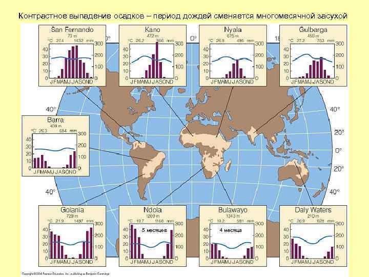 Контрастное выпадение осадков – период дождей сменяется многомесячной засухой 5 месяцев 4 месяца 