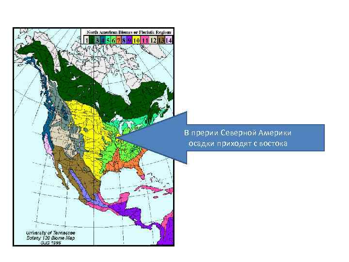 Какие природные объекты расположены на территории сша. Прерии Северной Америки на карте. Распространение прерий в Северной Америке. Степи Северной Америки карта. Территория прерии Северной Америки на карте.