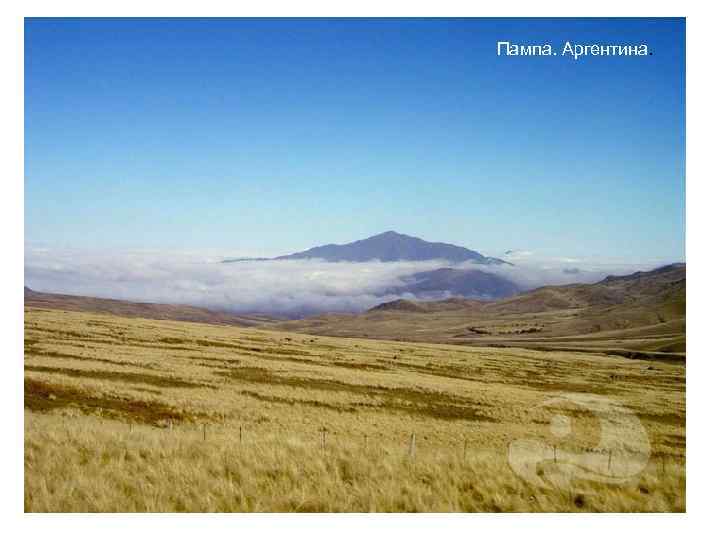 Пампа. Аргентина. 