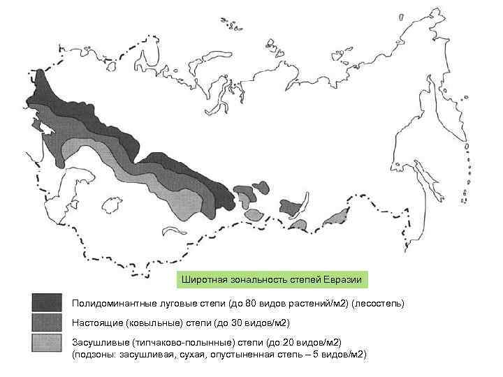 Карта лесостепи россии