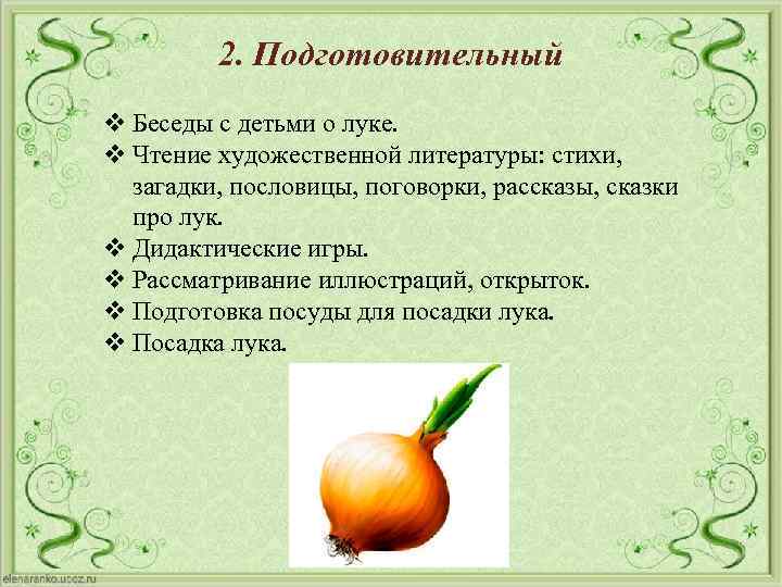 2. Подготовительный v Беседы с детьми о луке. v Чтение художественной литературы: стихи, загадки,