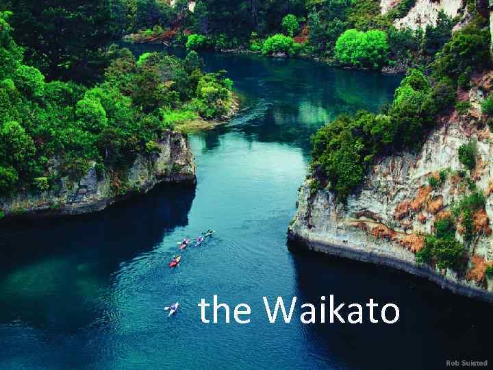  the Waikato 