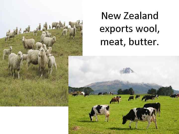 New Zealand exports wool, meat, butter. 