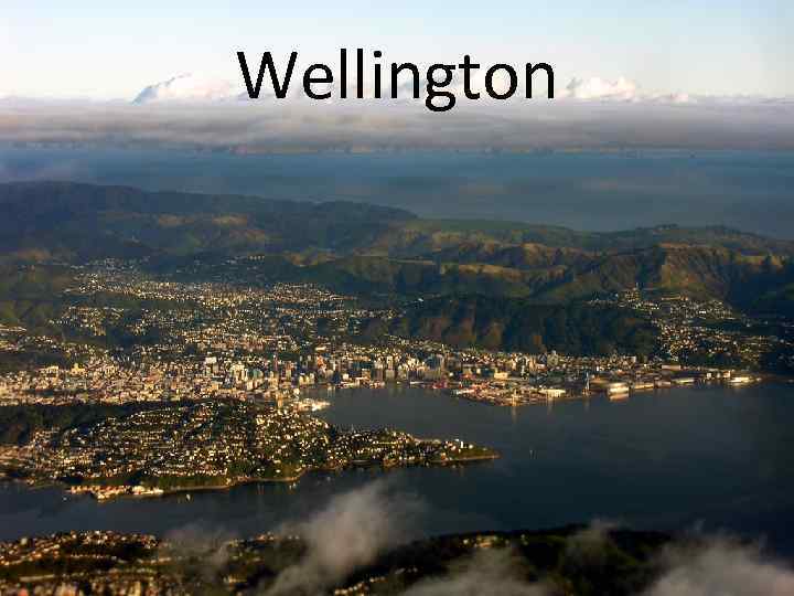 Wellington 