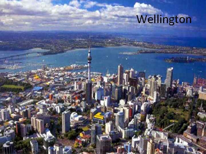  Wellington 