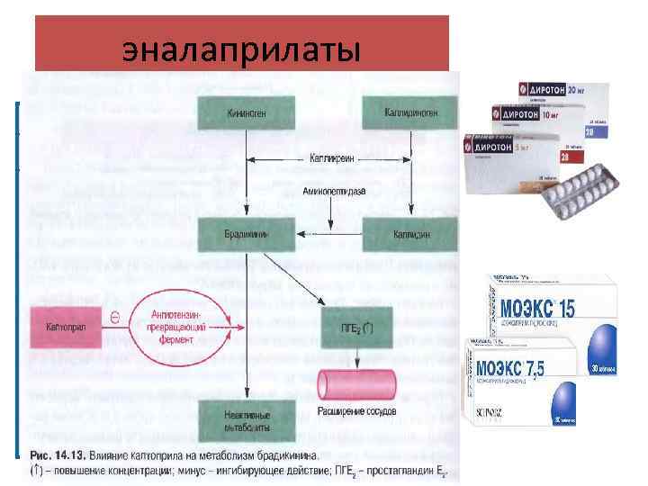 эналаприлаты 