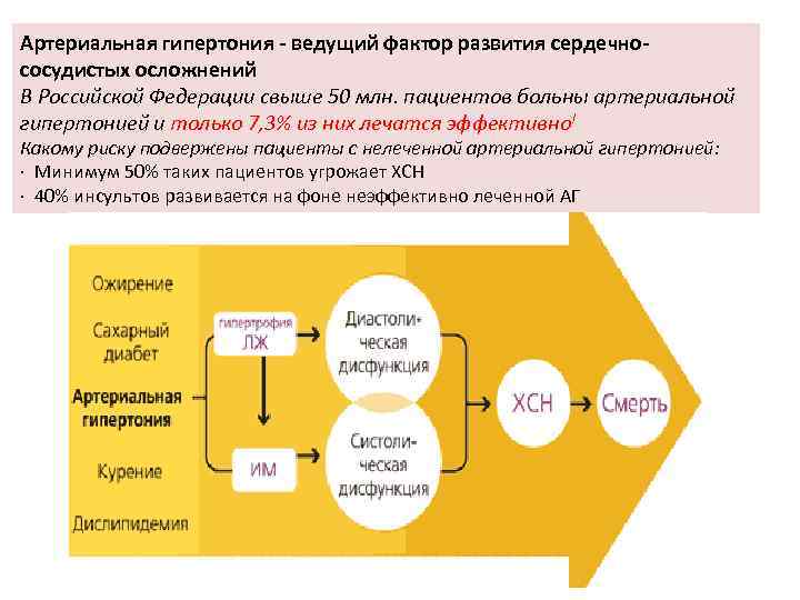 Артериальная гипертония - ведущий фактор развития сердечнососудистых осложнений В Российской Федерации свыше 50 млн.