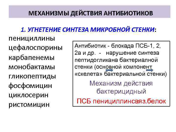 МЕХАНИЗМЫ ДЕЙСТВИЯ АНТИБИОТИКОВ 1. УГНЕТЕНИЕ СИНТЕЗА МИКРОБНОЙ СТЕНКИ: пенициллины цефалоспорины карбапенемы монобактамы гликопептиды фосфомицин