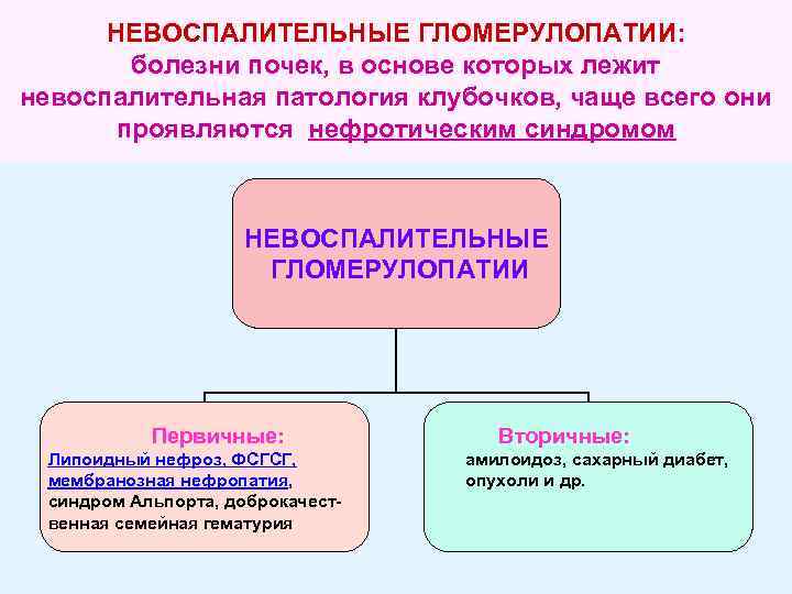 НЕВОСПАЛИТЕЛЬНЫЕ ГЛОМЕРУЛОПАТИИ: болезни почек, в основе которых лежит невоспалительная патология клубочков, чаще всего они