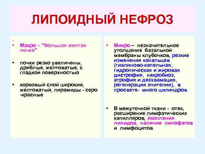ЛИПОИДНЫЙ НЕФРОЗ. • Макро – "большая желтая почка" • Микро – незначительное утолщение базальной