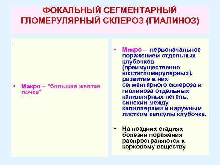 ФОКАЛЬНЫЙ СЕГМЕНТАРНЫЙ ГЛОМЕРУЛЯРНЫЙ СКЛЕРОЗ (ГИАЛИНОЗ). • Макро – "большая желтая почка" • Микро –