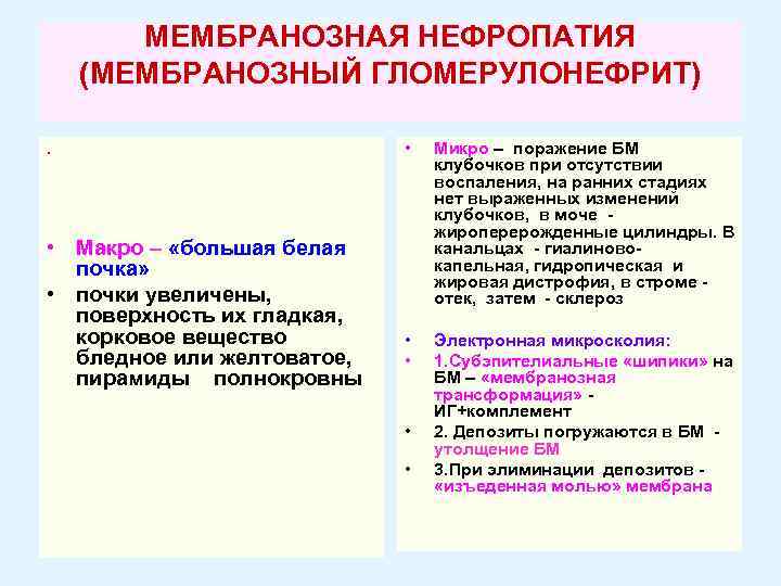 МЕМБРАНОЗНАЯ НЕФРОПАТИЯ (МЕМБРАНОЗНЫЙ ГЛОМЕРУЛОНЕФРИТ). • Макро – «большая белая почка» • почки увеличены, поверхность