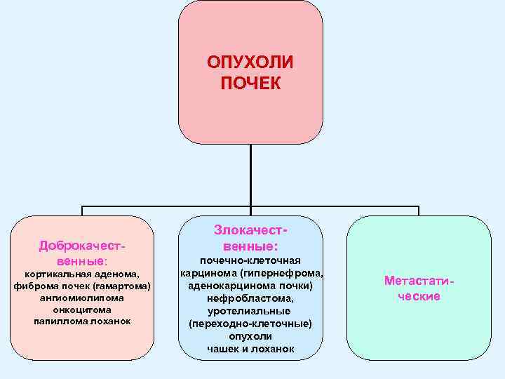 ОПУХОЛИ ПОЧЕК Доброкачественные: кортикальная аденома, фиброма почек (гамартома) ангиомиолипома онкоцитома папиллома лоханок Злокачественные: почечно-клеточная
