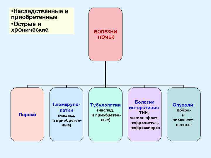  • Наследственные и приобретенные • Острые и хронические Пороки Гломерулопатии (наслед. и приобретенные)