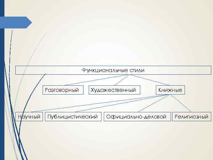 Какие функциональные разновидности