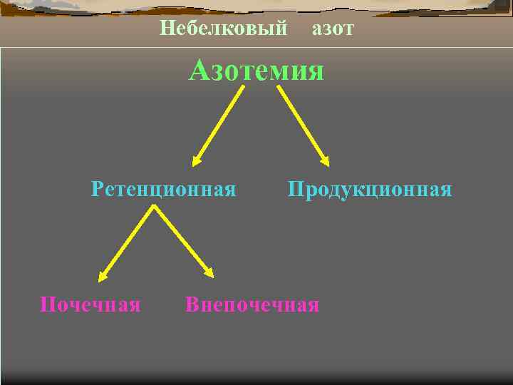 Небелковый азот Азотемия Ретенционная Почечная Продукционная Внепочечная 