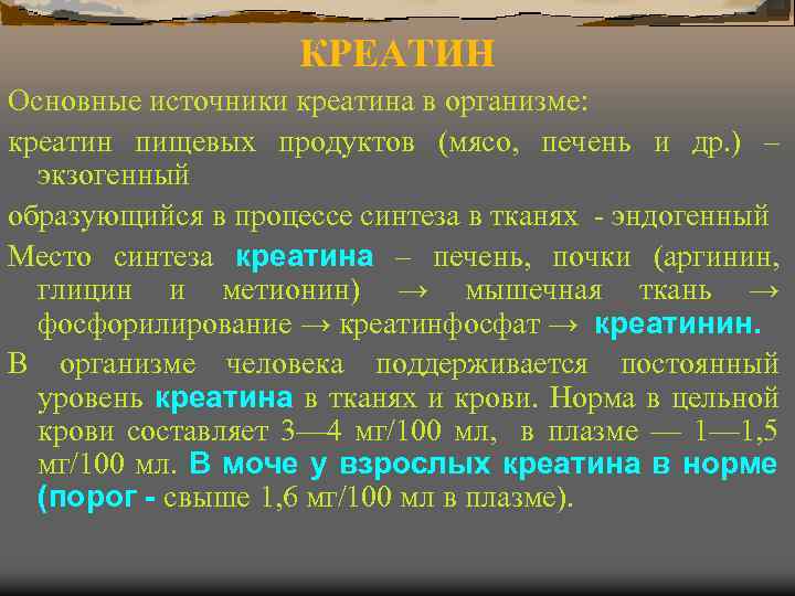 Креатин функции. Креатинин функции в организме. Источник креатина в организме.