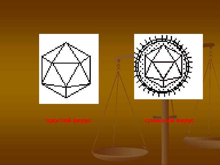 простой вирус сложный вирус 