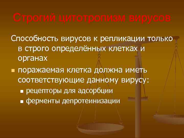 Строгий цитотропизм вирусов Способность вирусов к репликации только в строго определённых клетках и органах